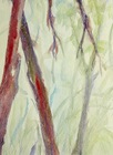 Natur 3  aquarell buntstift  13 x 18 cm  2015