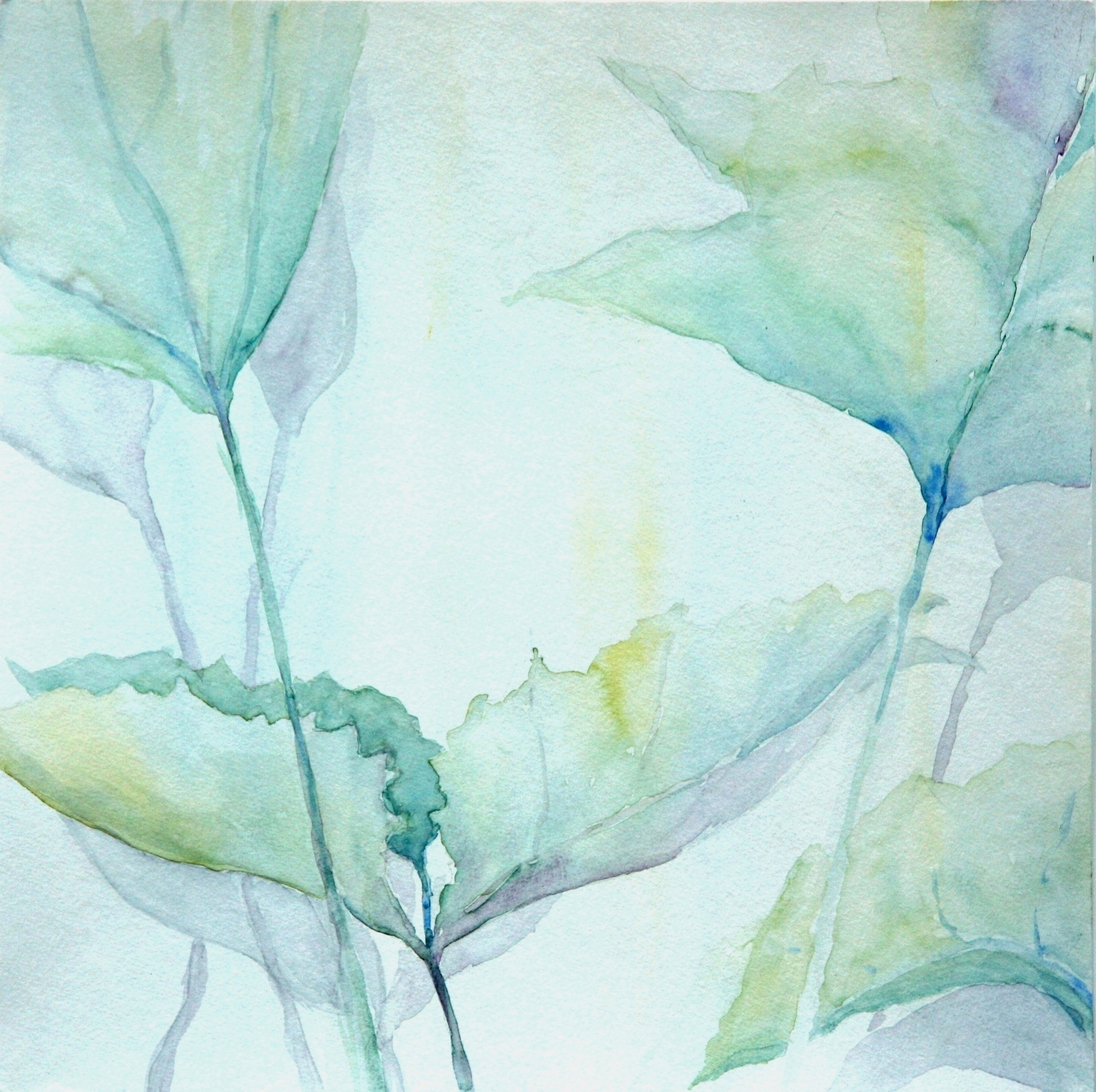 Mammutblatt 3 aquarell 2007 30x30cm